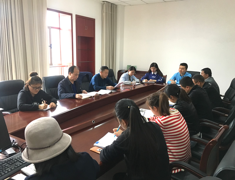 市龍江城鄉(xiāng)發(fā)展集團(tuán)專題學(xué)習(xí)近期中央、省、市紀(jì)律檢查委員會(huì)議精神